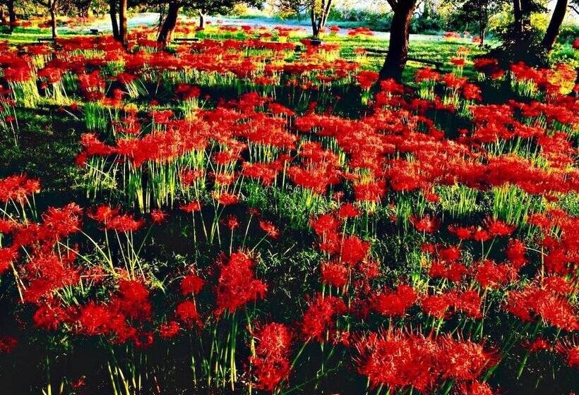 酒店 Imazu Sun Bridge