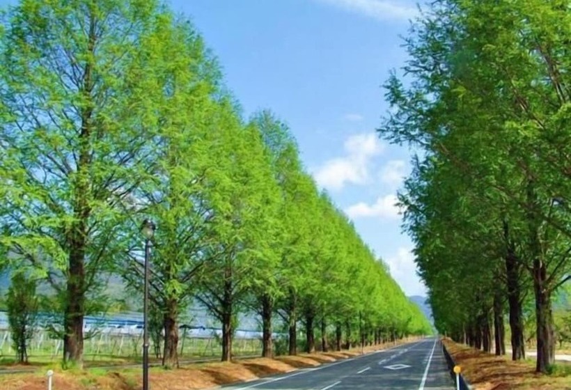 酒店 Imazu Sun Bridge