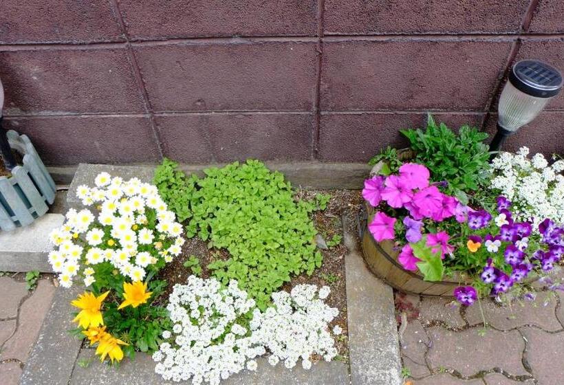 فندق Plaza Inn Kawaguchiko