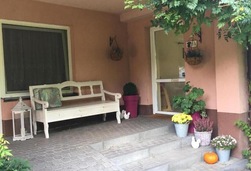 酒店 W Starym Ogrodnictwie