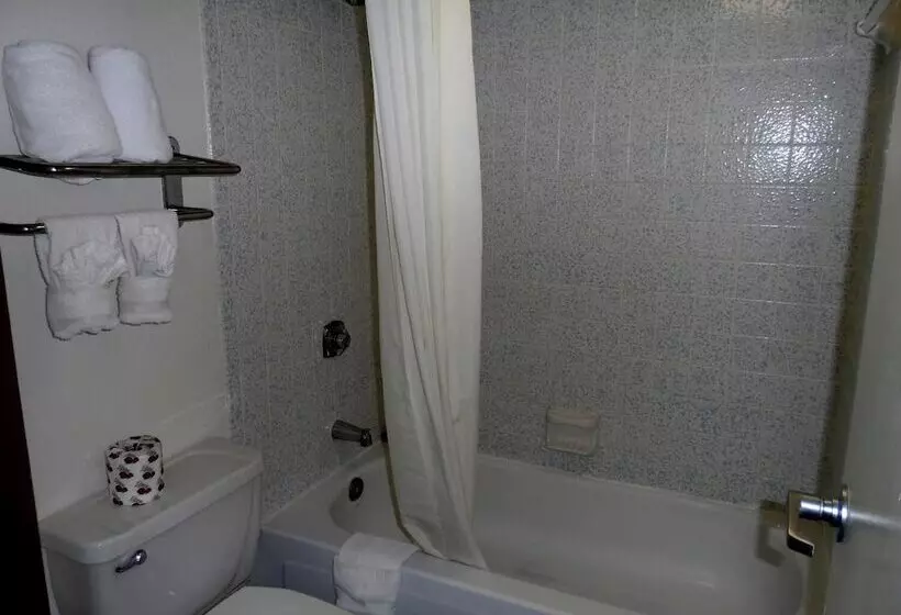 酒店 Budgetel Inn Houston/nasa