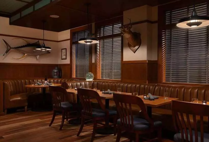 هتل Champlain Burlington, Curio Collection By Hilton