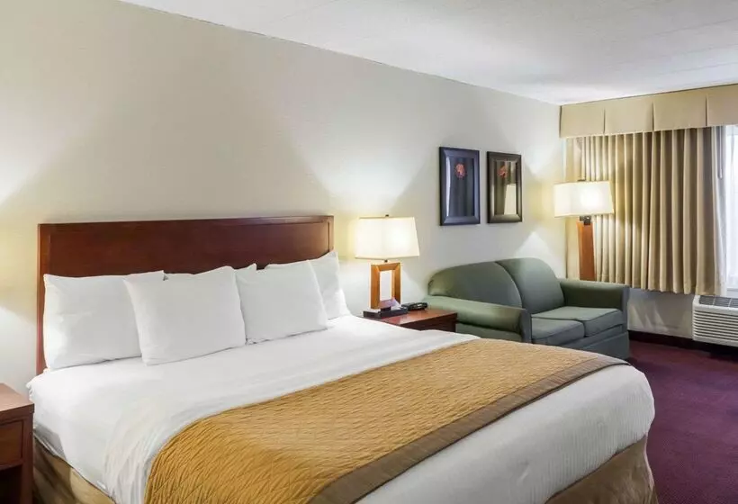 Clarion Hotel Somerset   New Brunswick