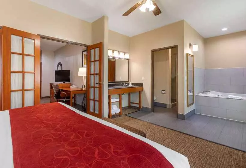 酒店 Comfort Suites North Dallas