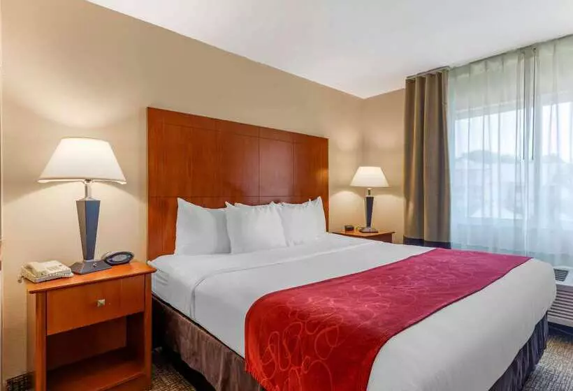 酒店 Comfort Suites North Dallas