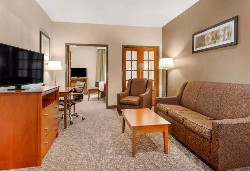 酒店 Comfort Suites North Dallas