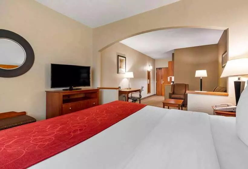 酒店 Comfort Suites North Dallas
