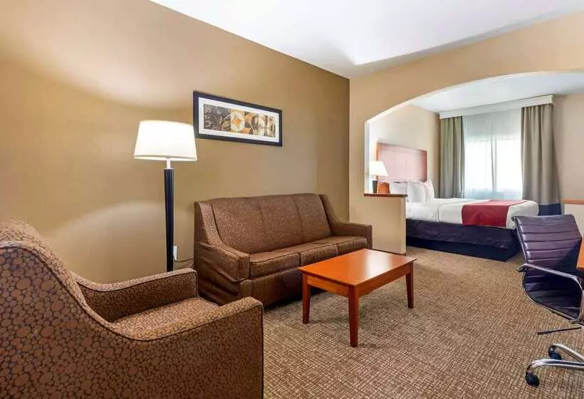 酒店 Comfort Suites North Dallas