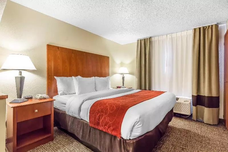 酒店 Comfort Suites North Dallas