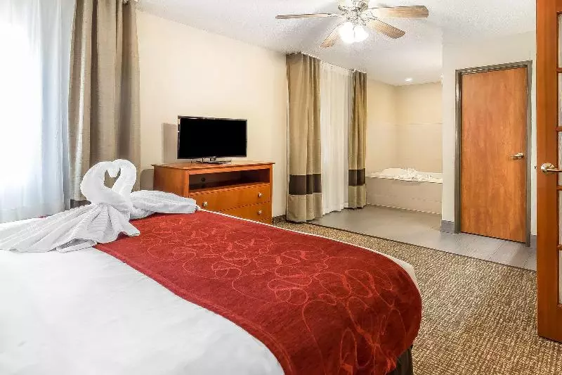 酒店 Comfort Suites North Dallas