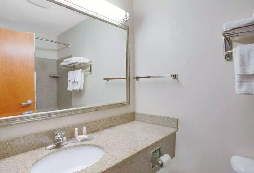 Отель Econo Lodge