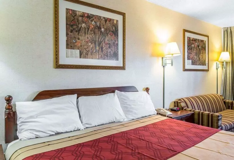 Отель Econo Lodge