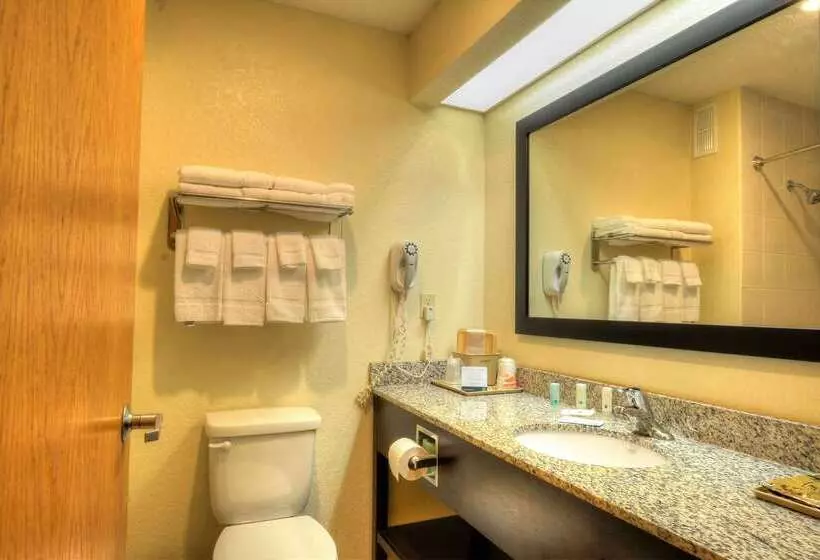 ホテル Quality Inn