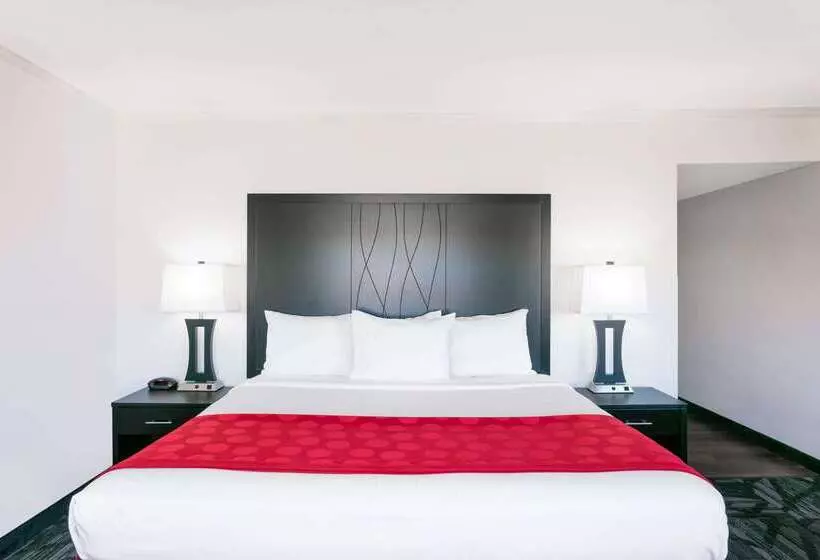 בית מלון כפרי Ramada By Wyndham Tuscaloosa