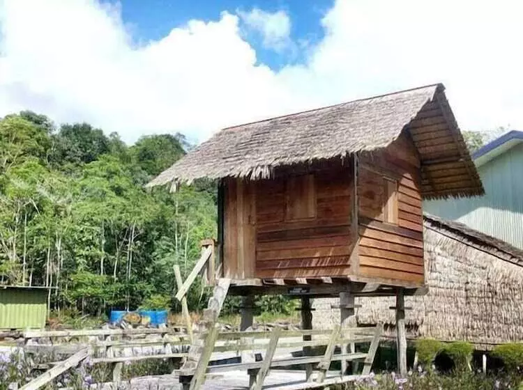 پانسیون Borneo Tribal Village