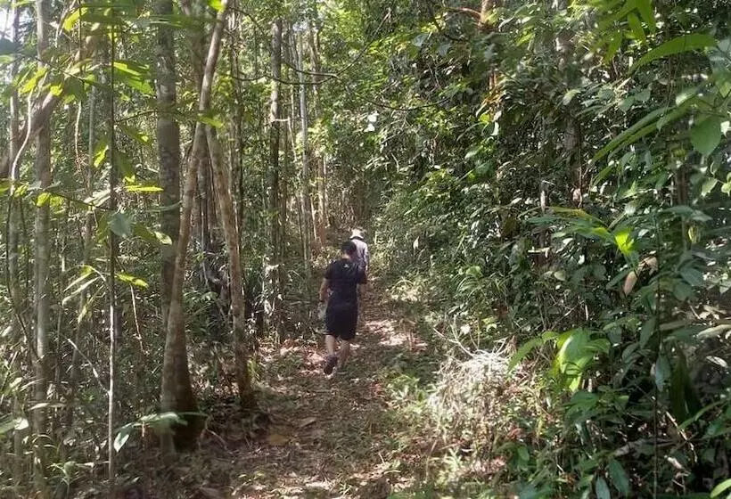 پانسیون Borneo Tribal Village