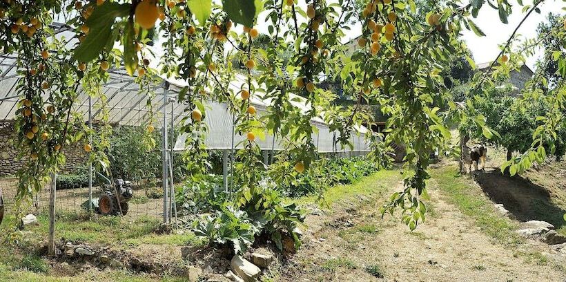 בית מלון כפרי Fattoria Giunasco