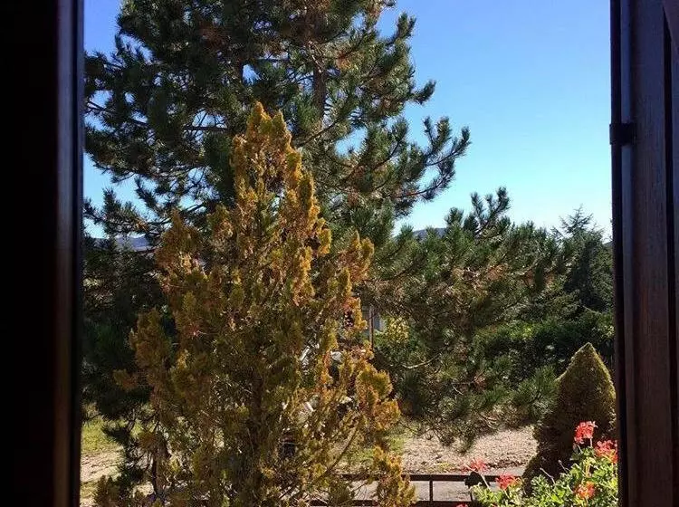 B&b Il Pino