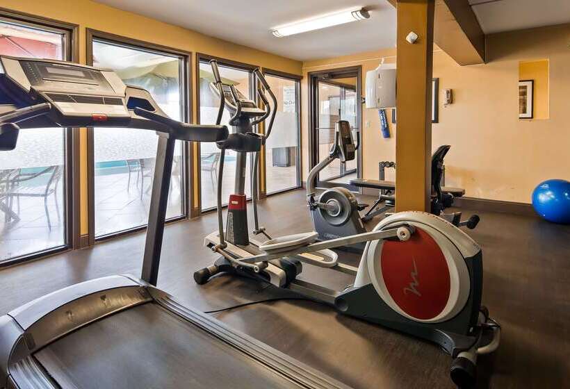 호텔 Best Western Saluki Inn