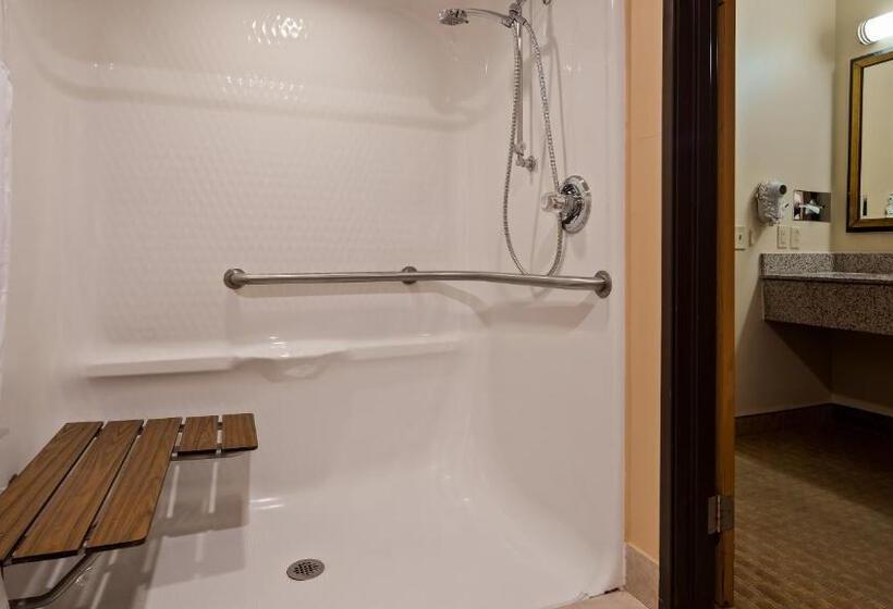 호텔 Best Western Saluki Inn