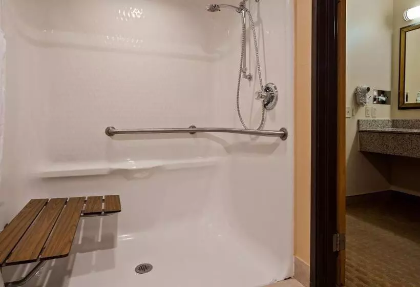 ホテル Best Western Saluki Inn