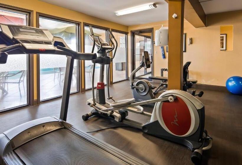 호텔 Best Western Saluki Inn