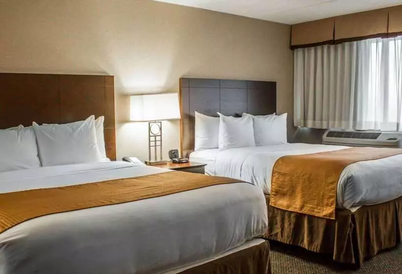 호텔 Comfort Inn & Suites