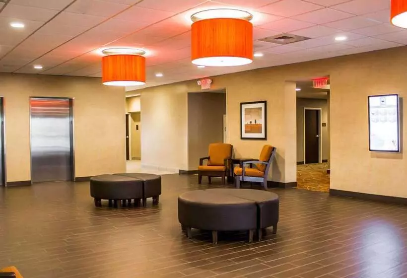 호텔 Comfort Inn & Suites