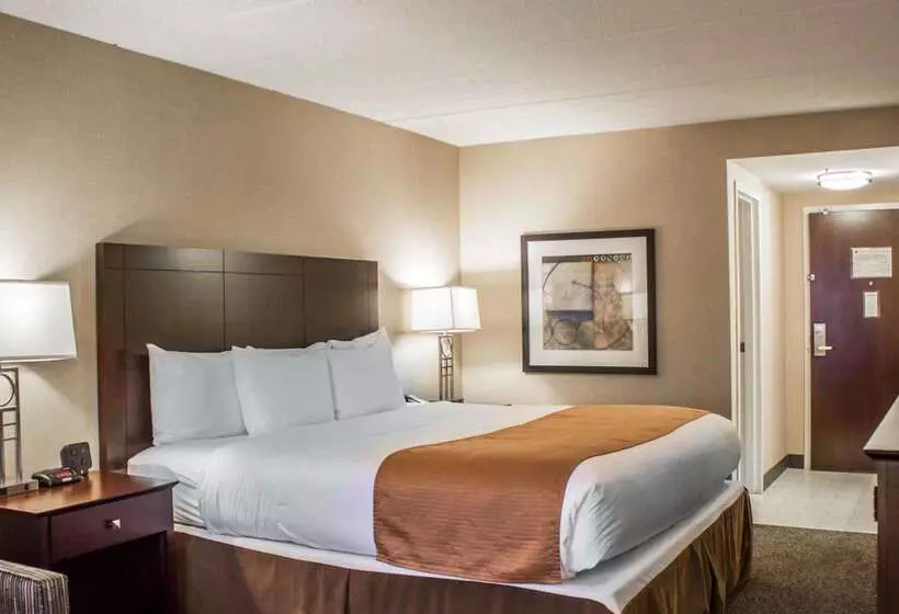 호텔 Comfort Inn & Suites