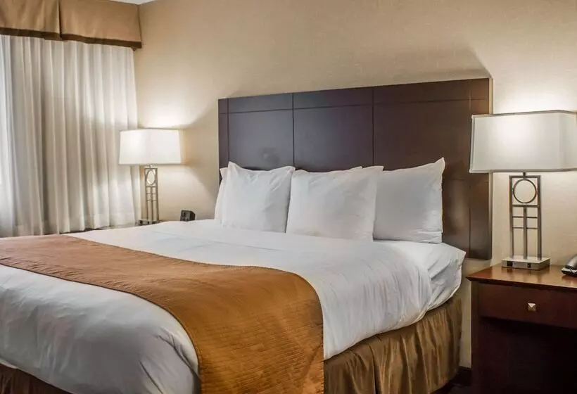 호텔 Comfort Inn & Suites