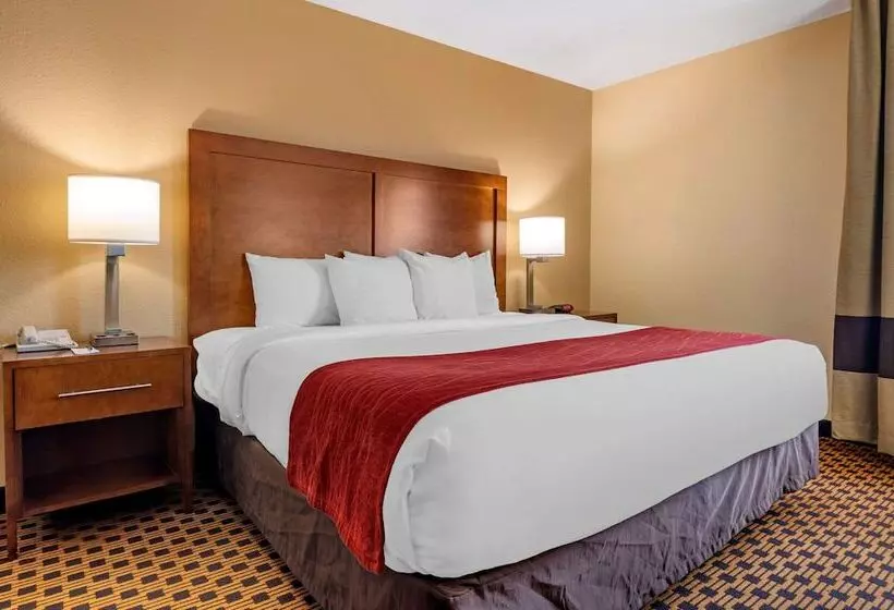 酒店 Comfort Inn Joliet West I 80