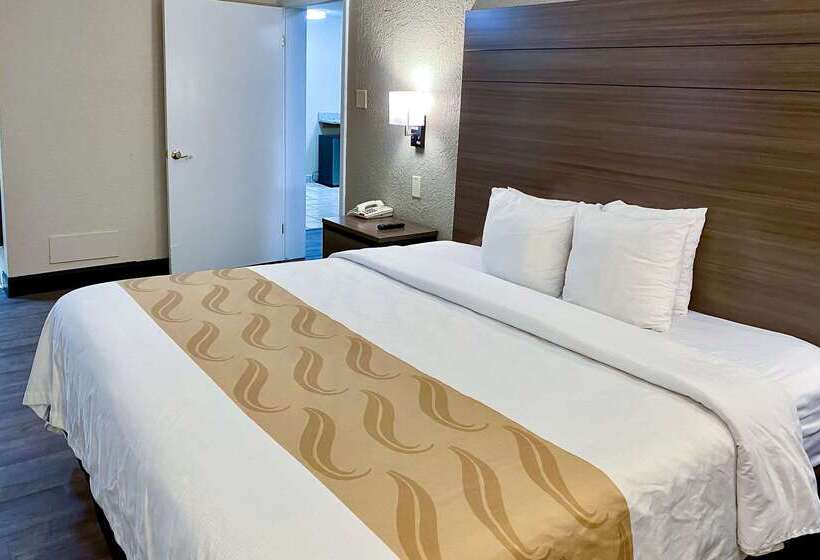 فندق Quality Inn & Suites Airport