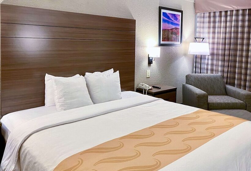 فندق Quality Inn & Suites Airport