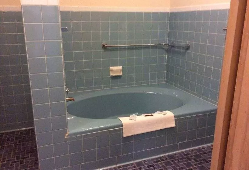 汽车旅馆  Nevada Inn