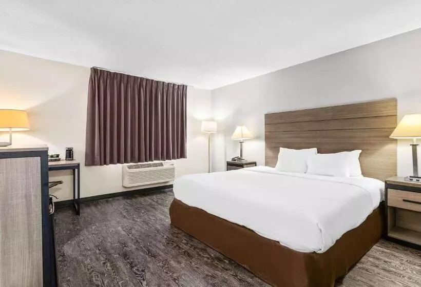 Surestay Hotel By Best Western Albuquerque Midtown