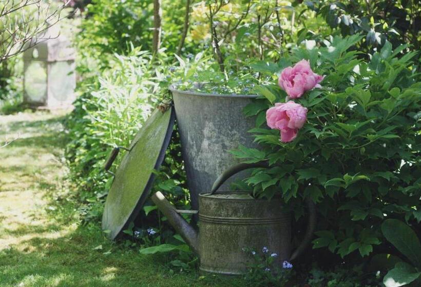 Bed and Breakfast Le Bonheur à La Campagne