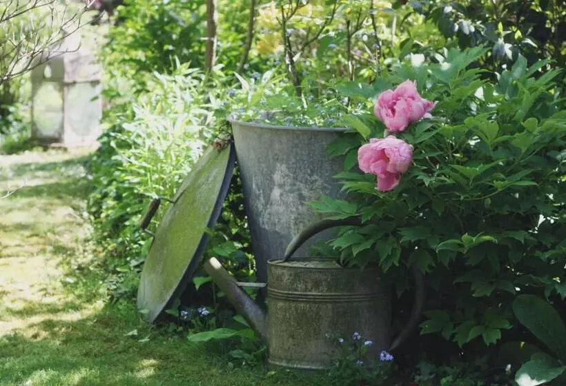 Aamiaismajoitus (B&B) Le Bonheur à La Campagne