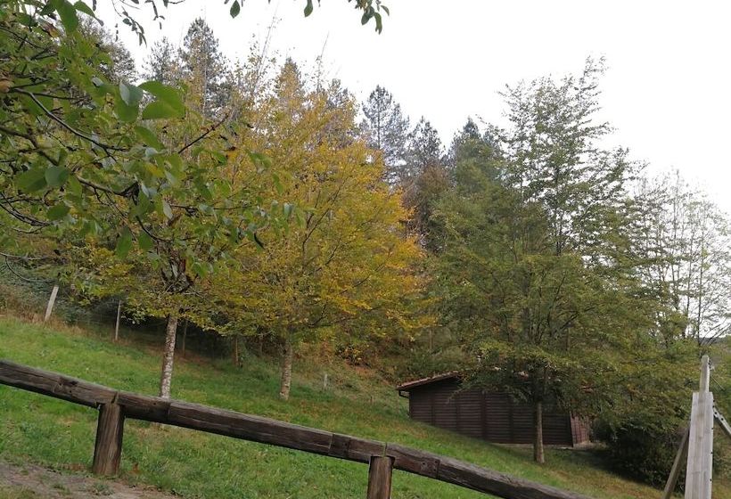 Cabañas En El Bosque Adults Only