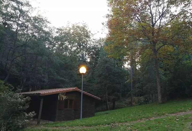 Cabañas En El Bosque  Adults Only