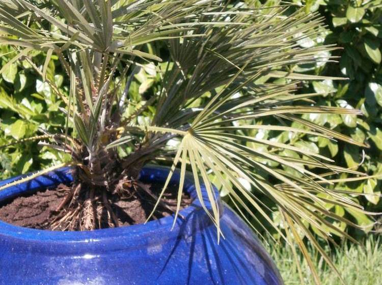 Château Le Combet Gîte Le Petit Donjon