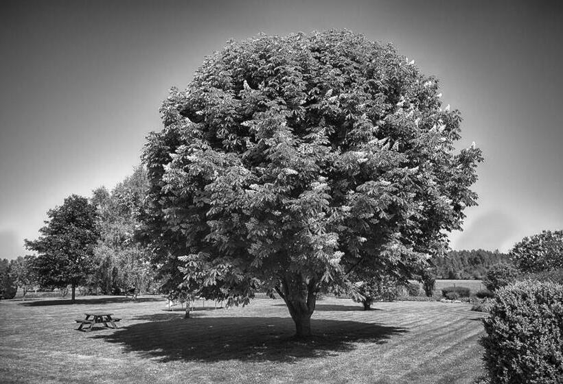 호텔 Au Jardin Fleuri