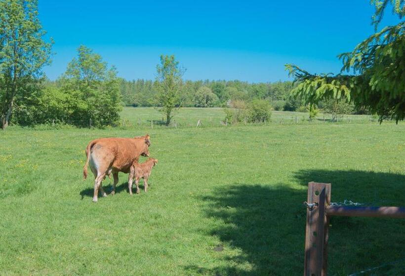 호텔 Au Jardin Fleuri