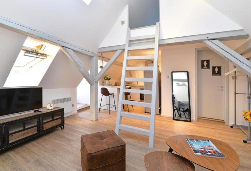 Appartement La Petite Terrasse Sur Les Toits