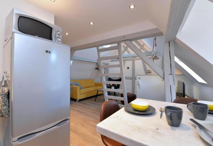 Appartement La Petite Terrasse Sur Les Toits