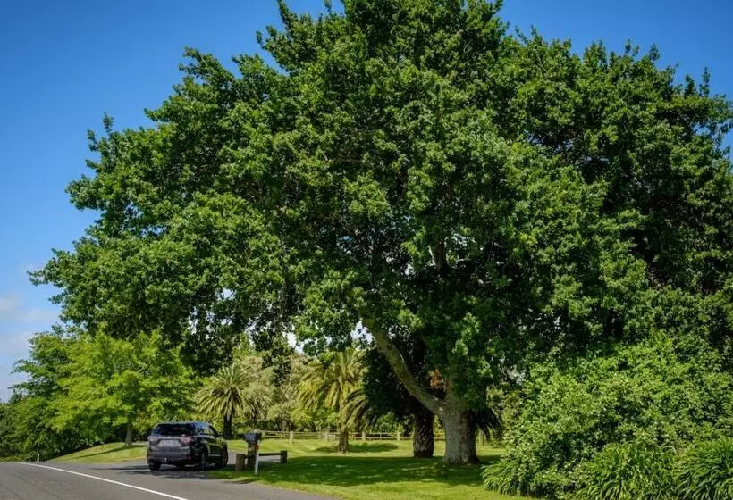 Aamiaismajoitus (B&B) Blackwood House