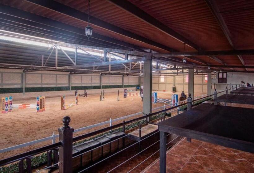 Collection O Hotel Nueva Escocia, Puebla