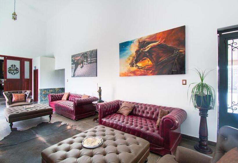 Collection O Hotel Nueva Escocia, Puebla