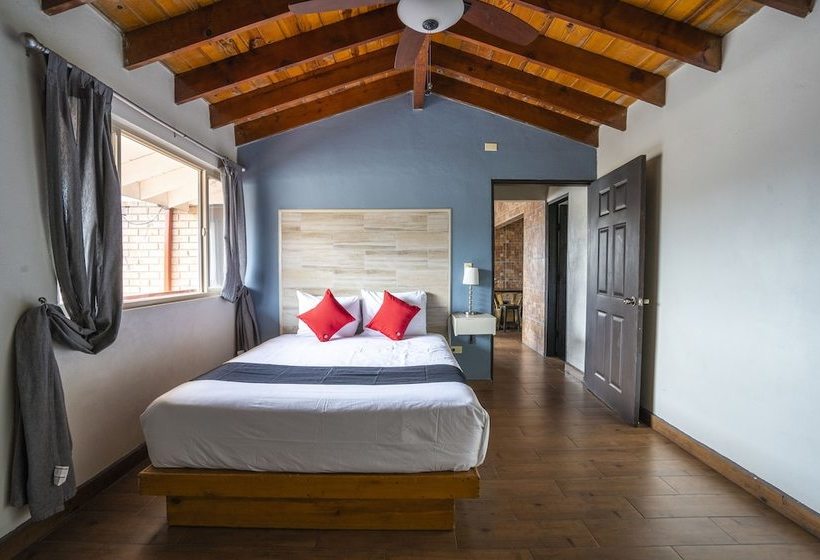 ホテル Capital O Posada Del Mar