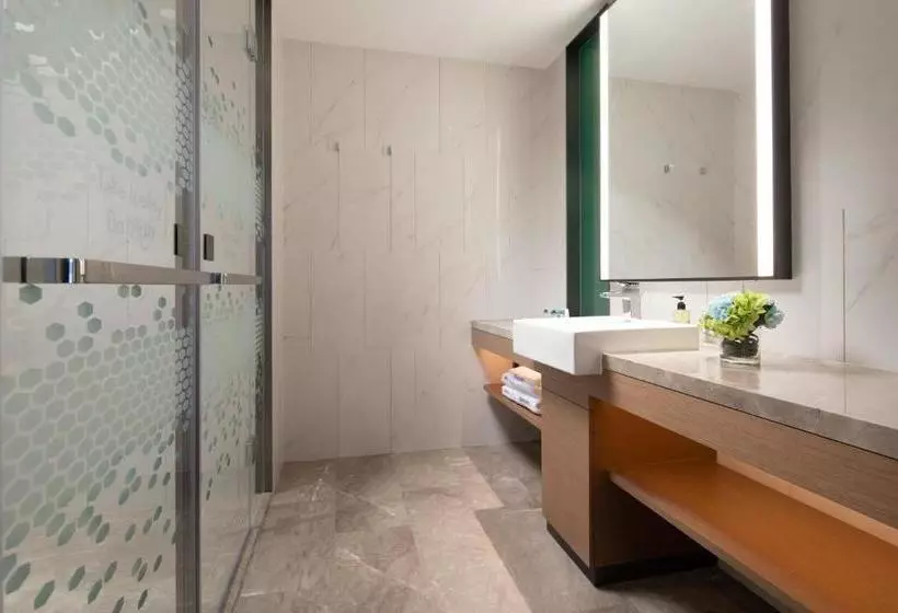 ホテル Hampton By Hilton Chengdu Dujiangyan