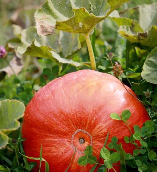 مبيت وإفطار Rejaillir